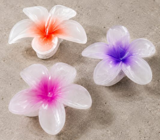 Colorful plumeria three combinations clip