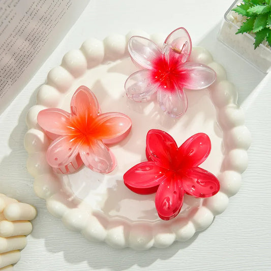 Colorful plumeria three combinations clip