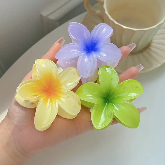 Colorful plumeria three combinations clip