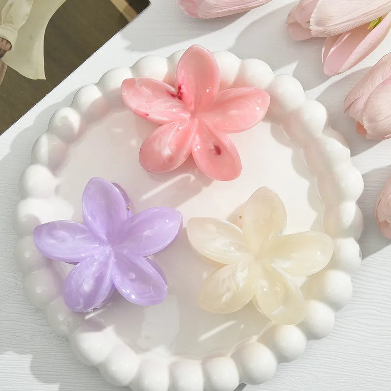 Colorful plumeria three combinations clip